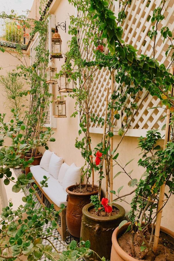Riad Maison 24 Marrakesh Exteriör bild