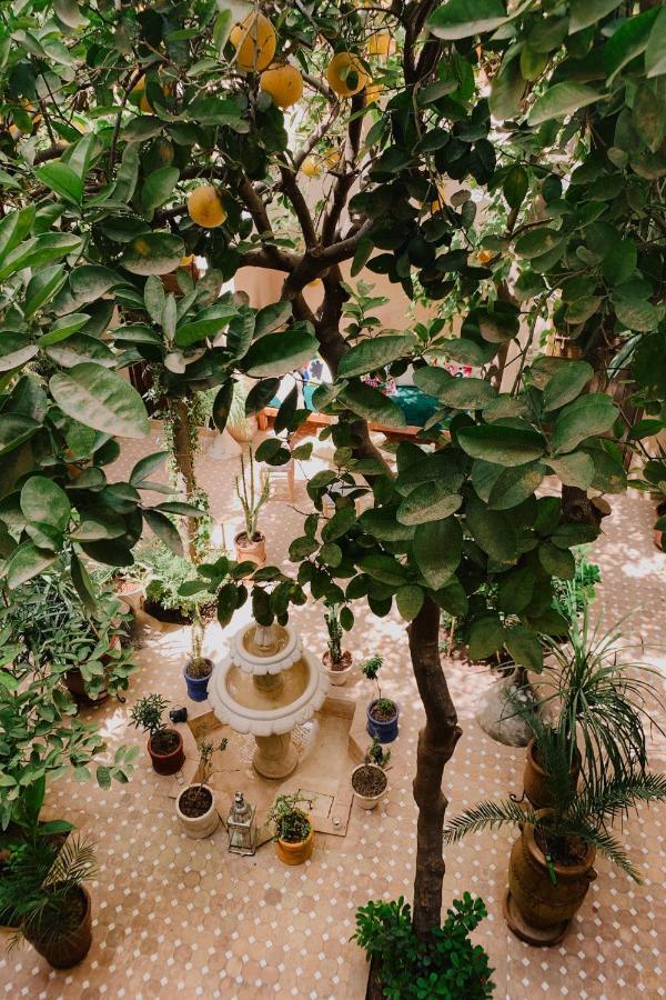 Riad Maison 24 Marrakesh Exteriör bild